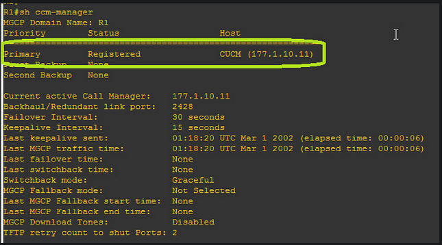 MGCP 1
